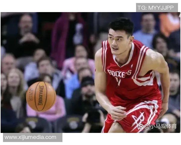 姚明眼睛图揭秘他的篮球生涯与个人魅力的完美结合